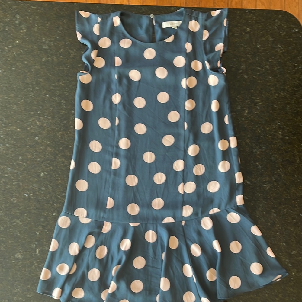 The Loft Small Petite mini dress with capped flowy sleeves.